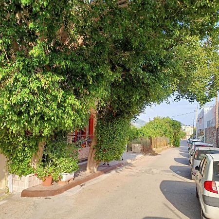 Green Apartment Argostolion Dış mekan fotoğraf